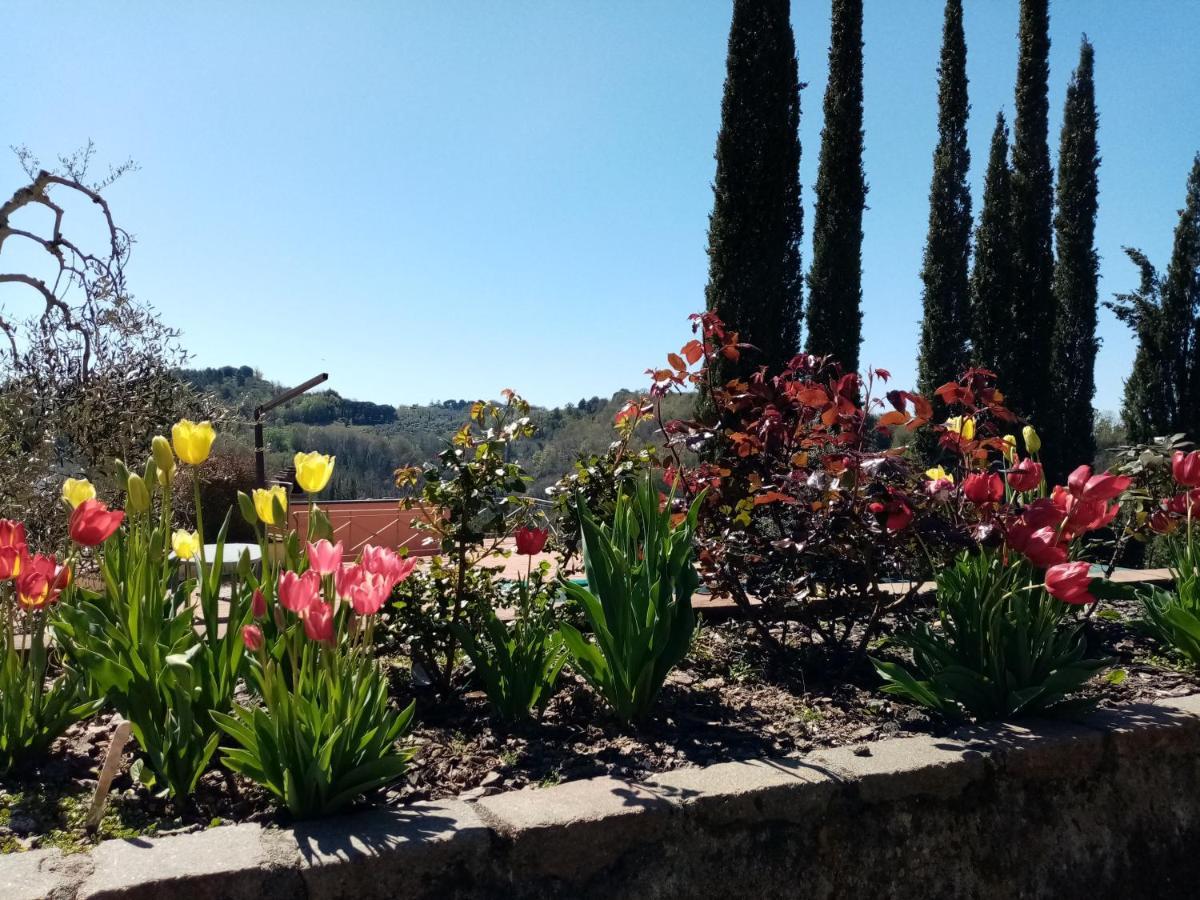 Gervasella Villa Pontedera Luaran gambar