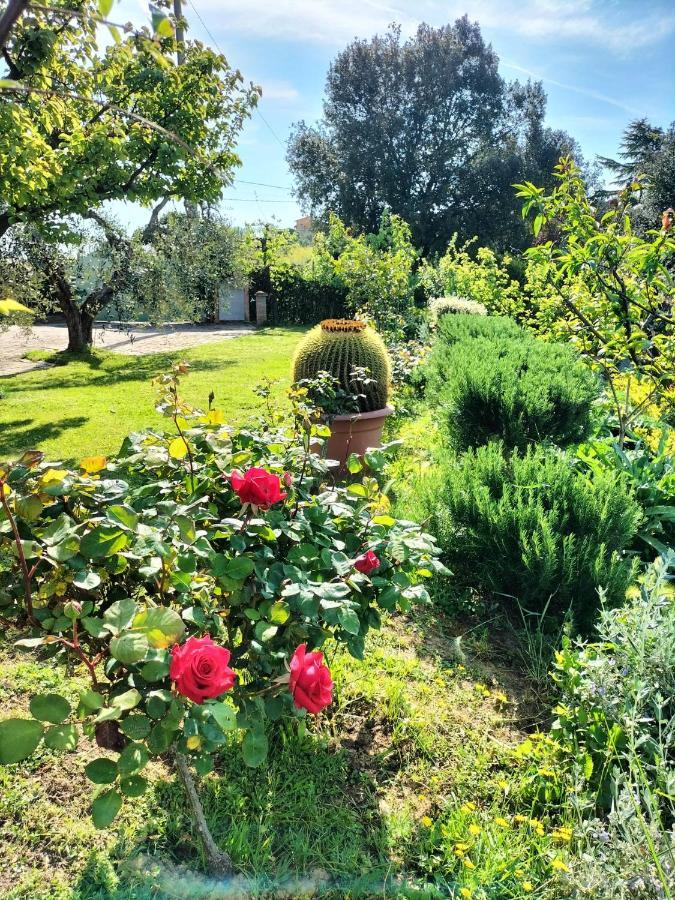 Gervasella Villa Pontedera Luaran gambar